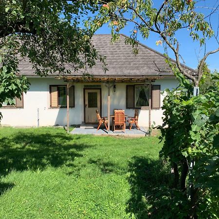 Urlaub Im Weingarten Winten  Esterno foto