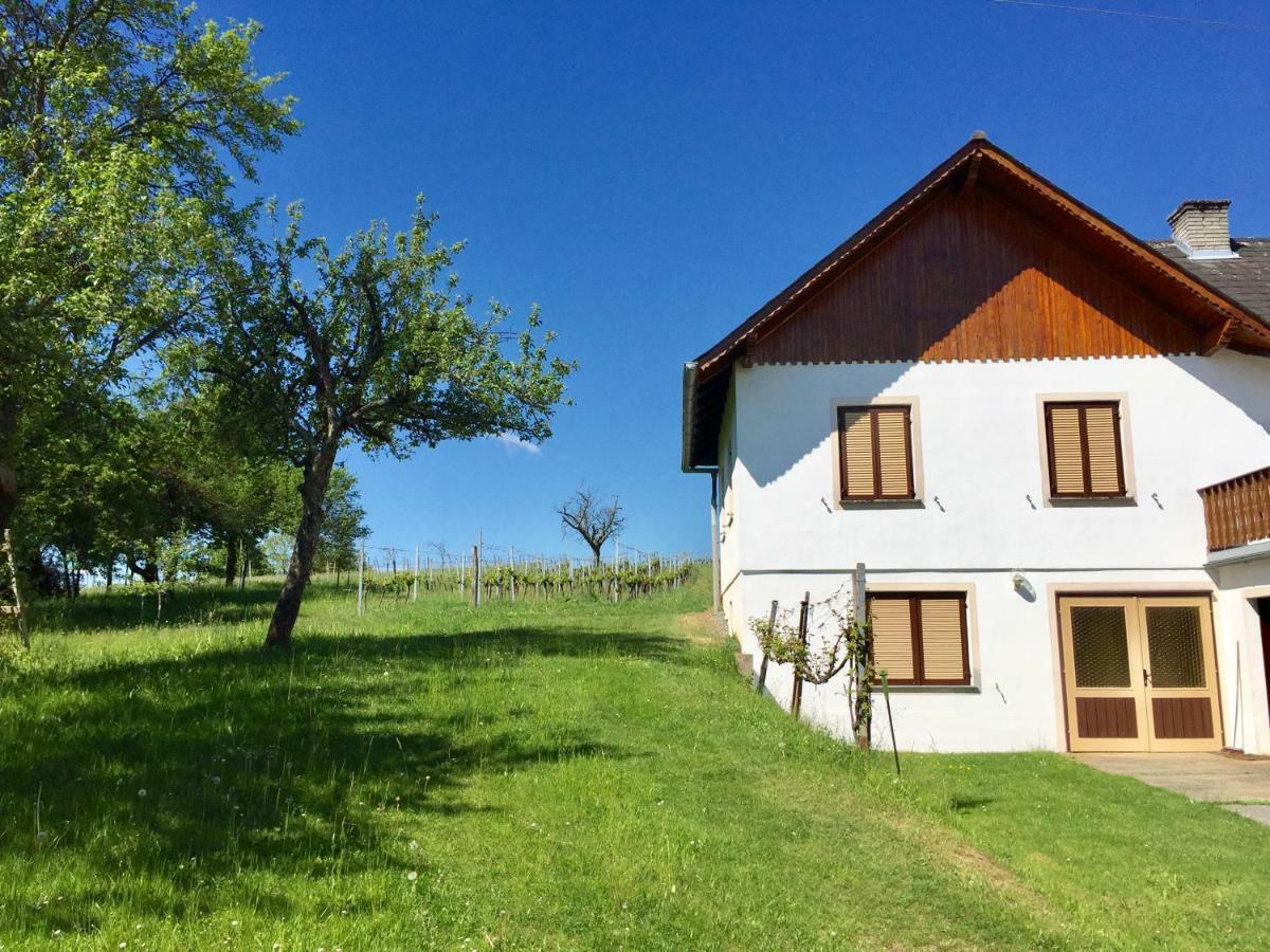 Urlaub Im Weingarten Winten  Esterno foto