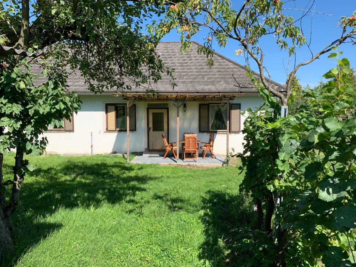 Urlaub Im Weingarten Winten  Esterno foto