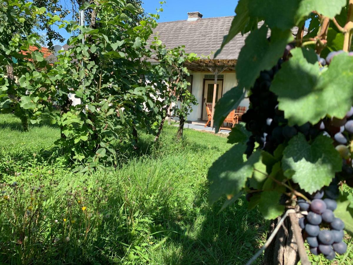 Urlaub Im Weingarten Winten  Esterno foto