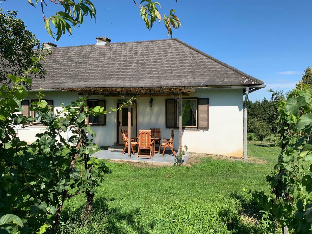Urlaub Im Weingarten Winten  Esterno foto